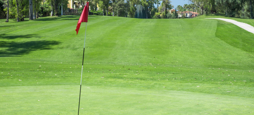 Golfbana flag