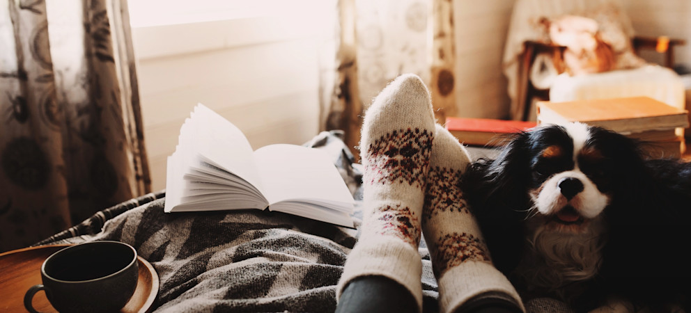 Drömmen om en egen fjällstuga