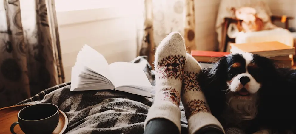 Drömmen om en egen fjällstuga