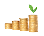 Increasing Coin Stack Image