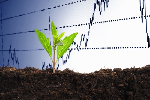Agriculture Stock