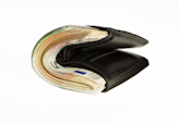 Stuffed Wallet Image