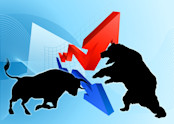bull fighting bear