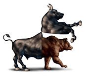 bull to bear correction