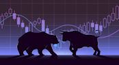 Bull and Bear Market Image
