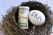 nest with money and ira