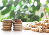 Timber and Coins