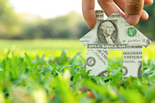 Real Estate Investment