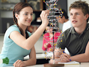 Students looking at Science