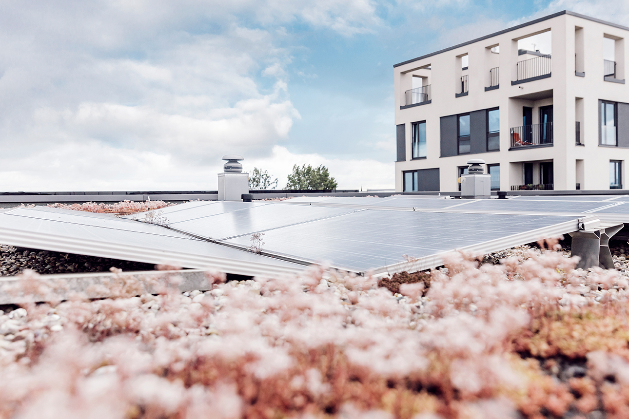 Solaranlage auf dem Dach der Berliner Energieagentur