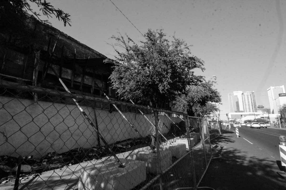 Fences of Central Phoenix (Photo by Brittany Feenstra)