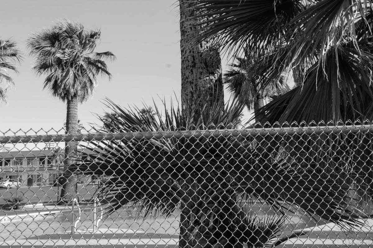 Fences of Central Phoenix (Photo by Brittany Feenstra)