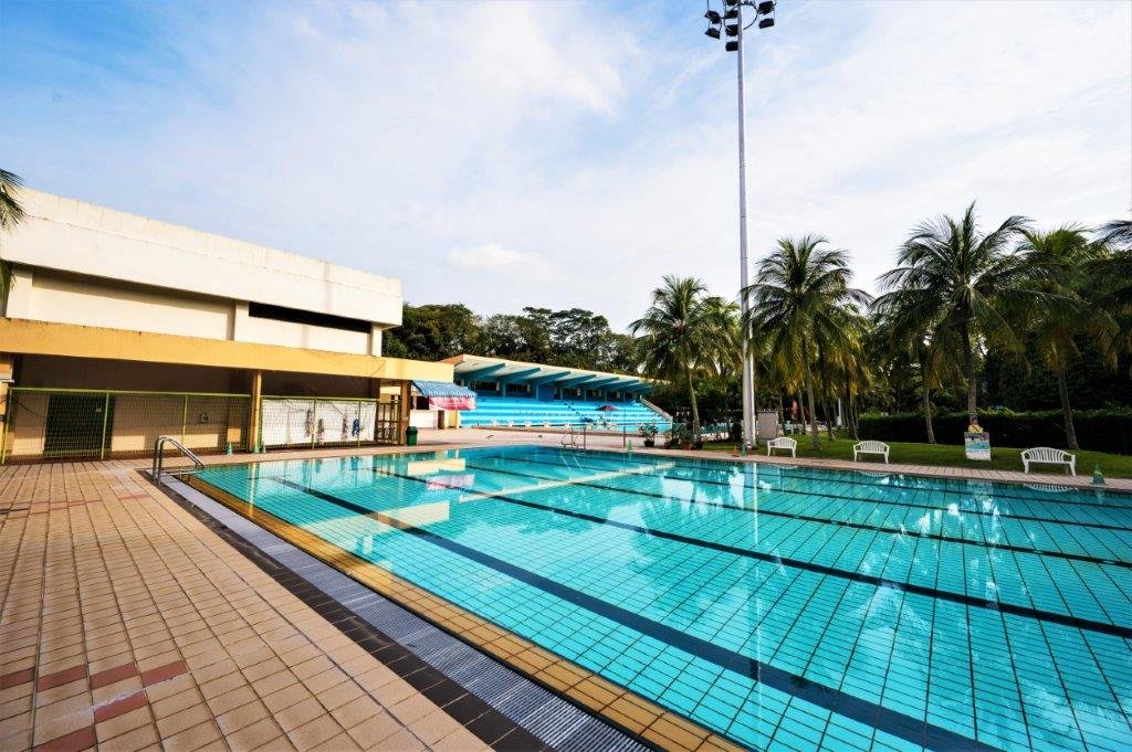 How Swimming Improves Lung Capacity and Cardiovascular Health