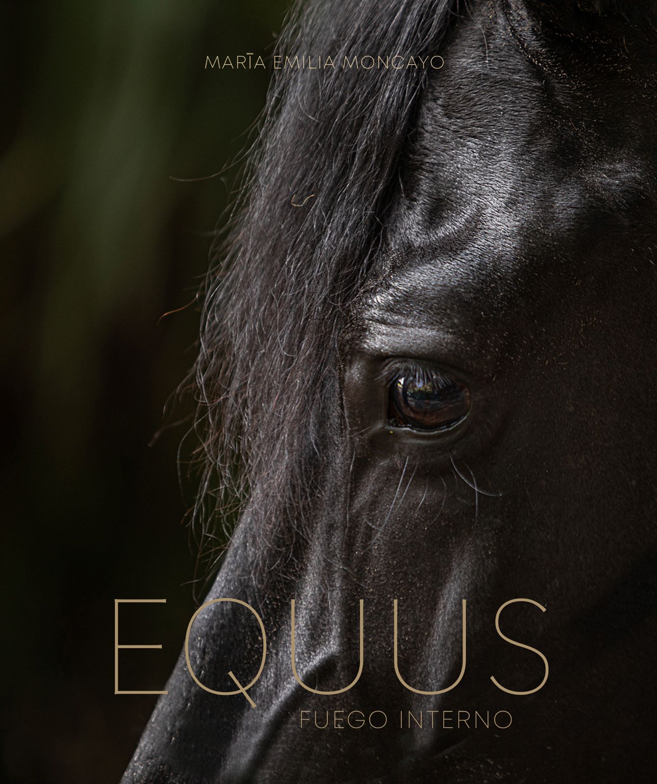 EQUUS