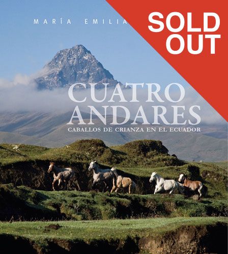 Cuatro Andares
