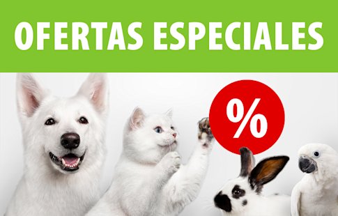 Promociones y ofertas