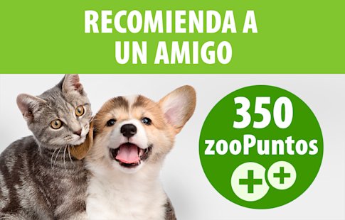 Recomienda un amigo y gana