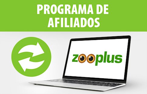 Programa de Afiliación