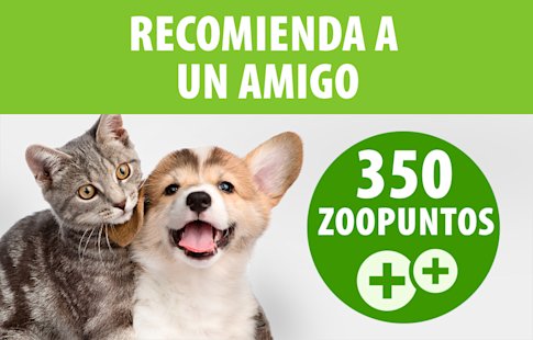 Recomienda a un amigo