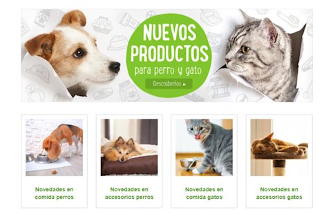 Nuevos productos