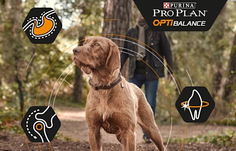Pro Plan OptiBalance para perros