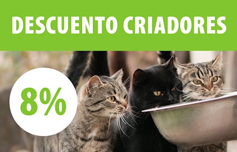 Programa para criadores