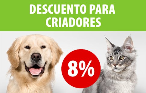 Programa para criadores