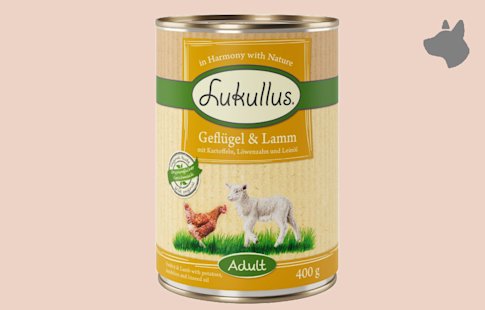 Lukullus comida húmeda gratis