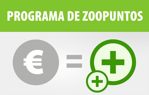 programa de puntos