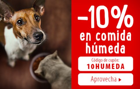 10% en comida húmeda