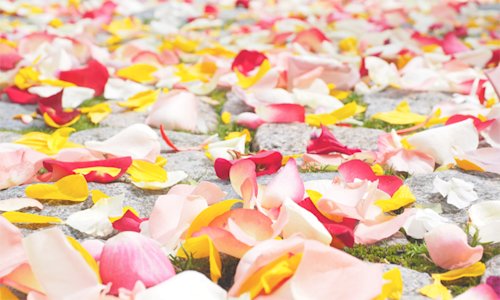 Blog image for Scattering ashes, a guide to what's involved