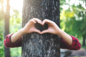 Interest in environmentally friendly funerals certain to grow