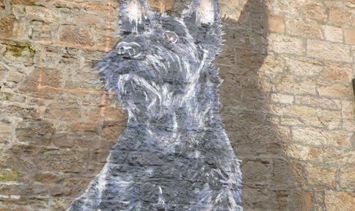 Blog image for Man's best friend right 'til the end