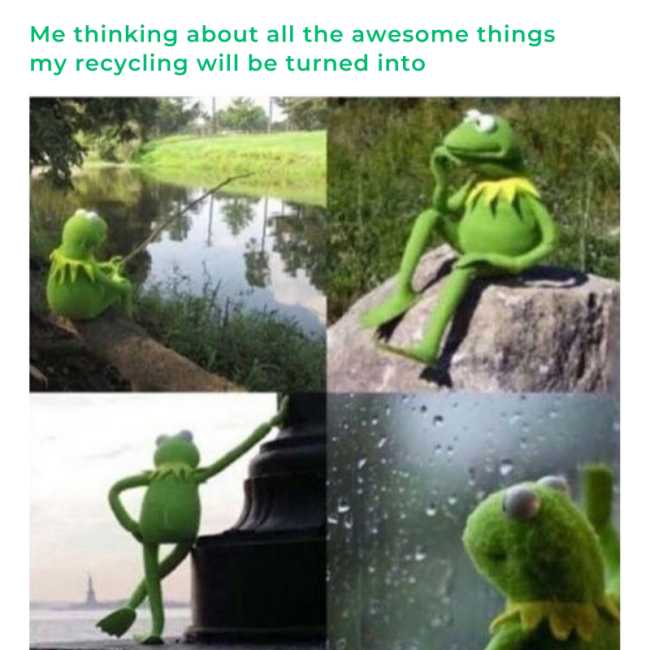Kermit thinking about recycling meme