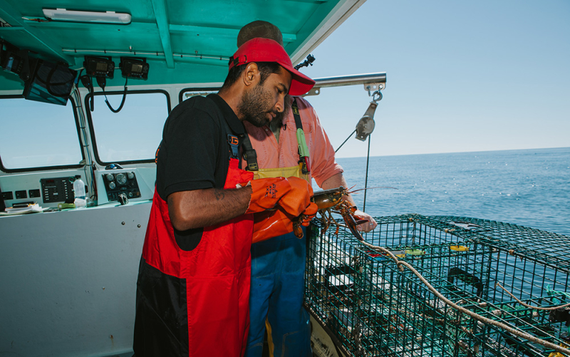 A photo of our Orange County owner onboard a lobster boat in Maine, measuring a lobster for sustainability, as a Maine lobsterman stands nearby.
