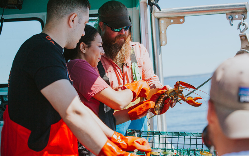A photo of our Trenton & Philly owners on a lobster boat in Maine, as a Maine lobsterman shows them  how to check a lobster for eggs for sustainability measures.