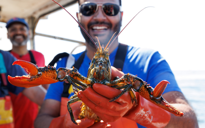 An image of our SF Bay and Denver owner holding a live lobster up to the camera.