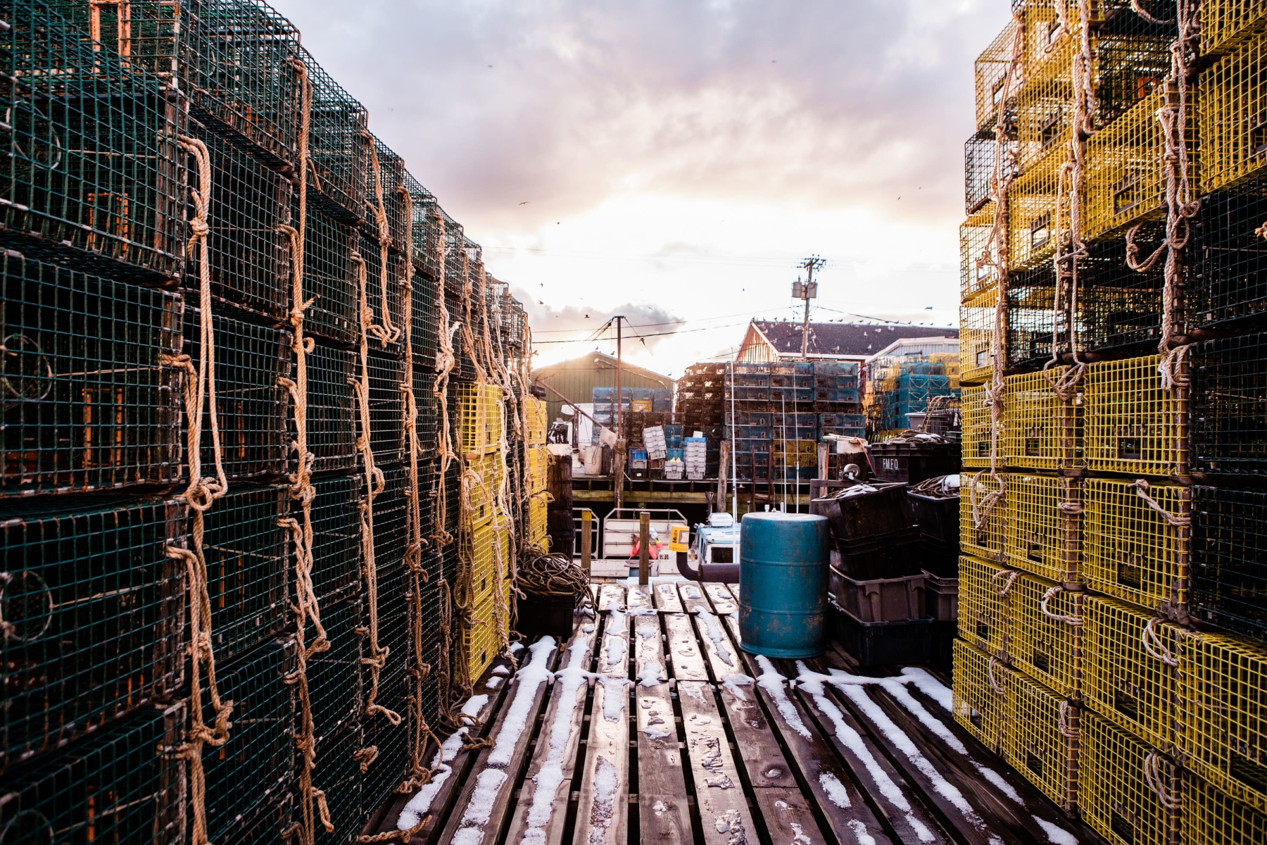 Lobster traps on a dock in Maine