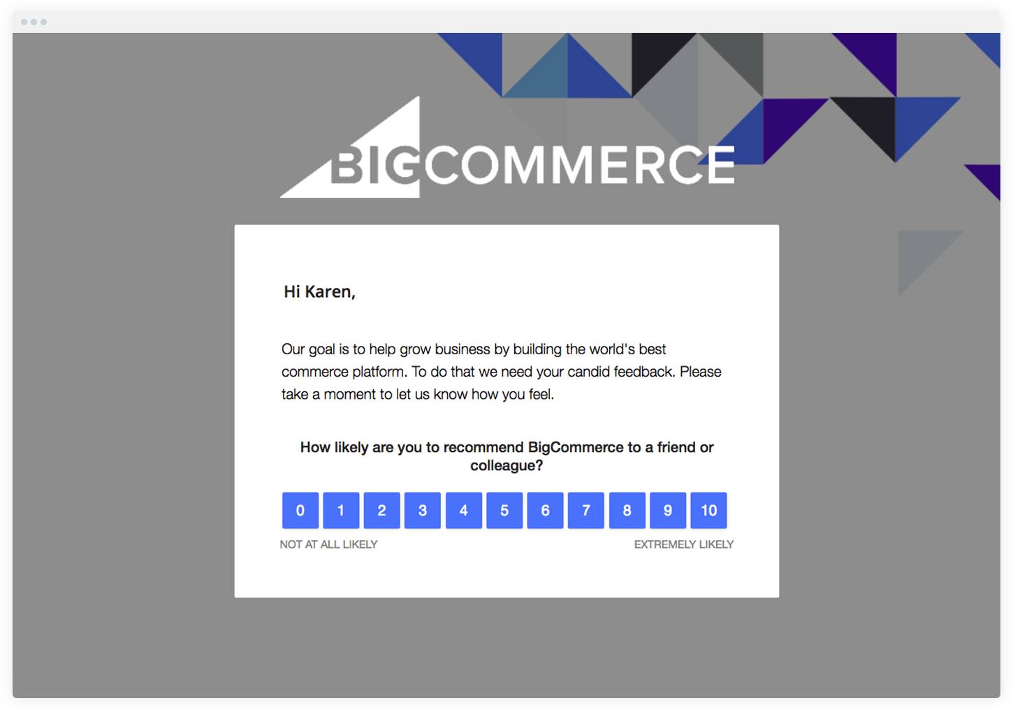 Net Promoter Score Survey Example