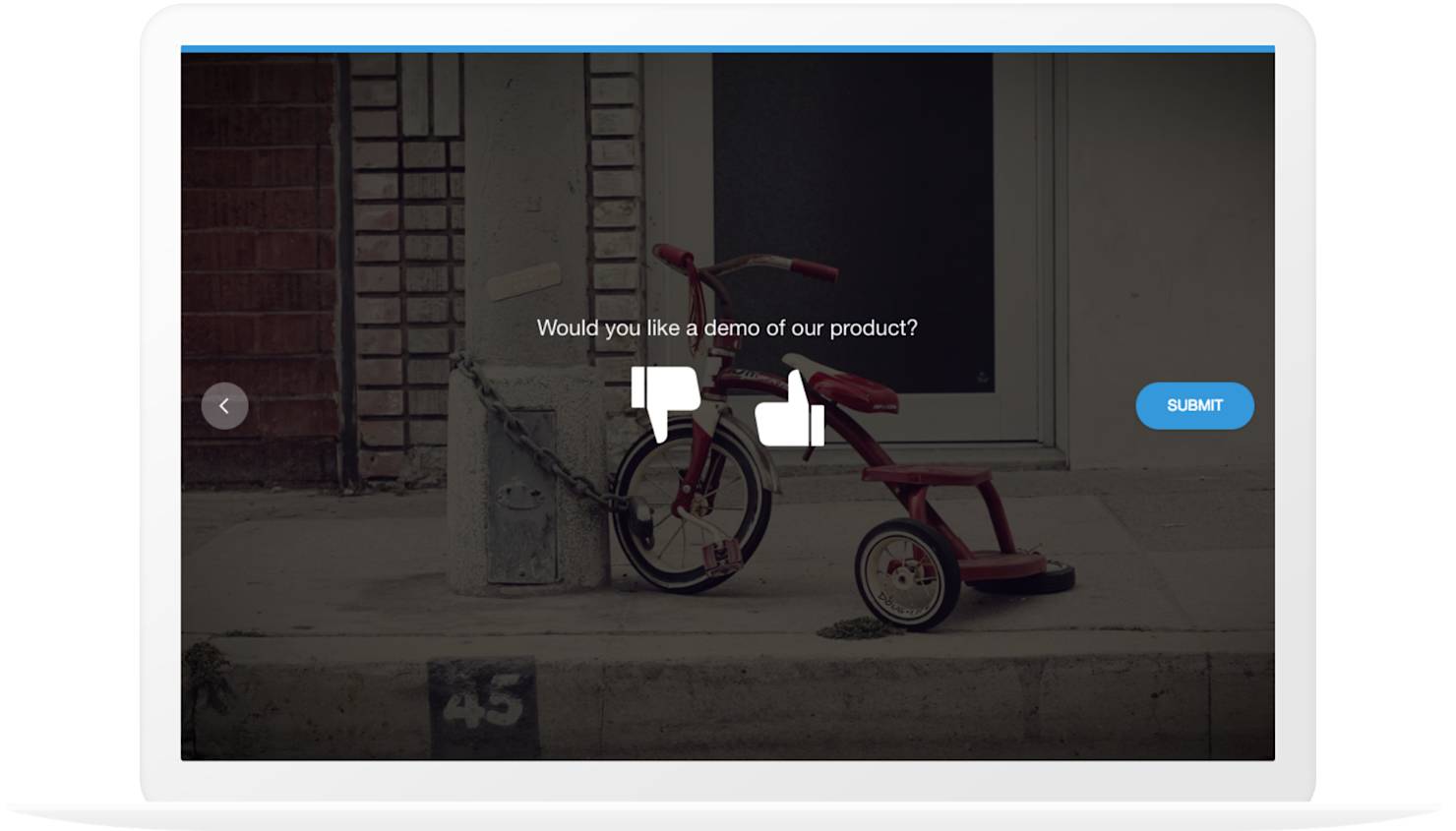 Lead Nurturing Survey