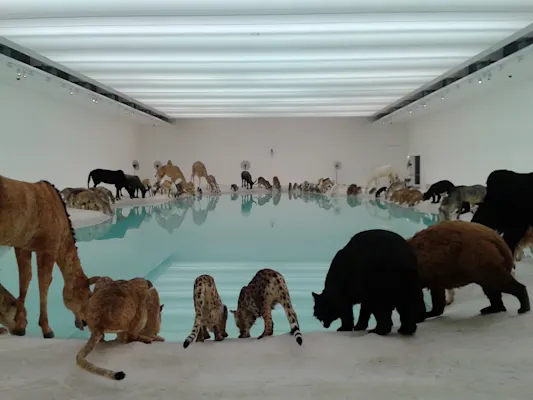 Redland pools gallery of Modern Art Project