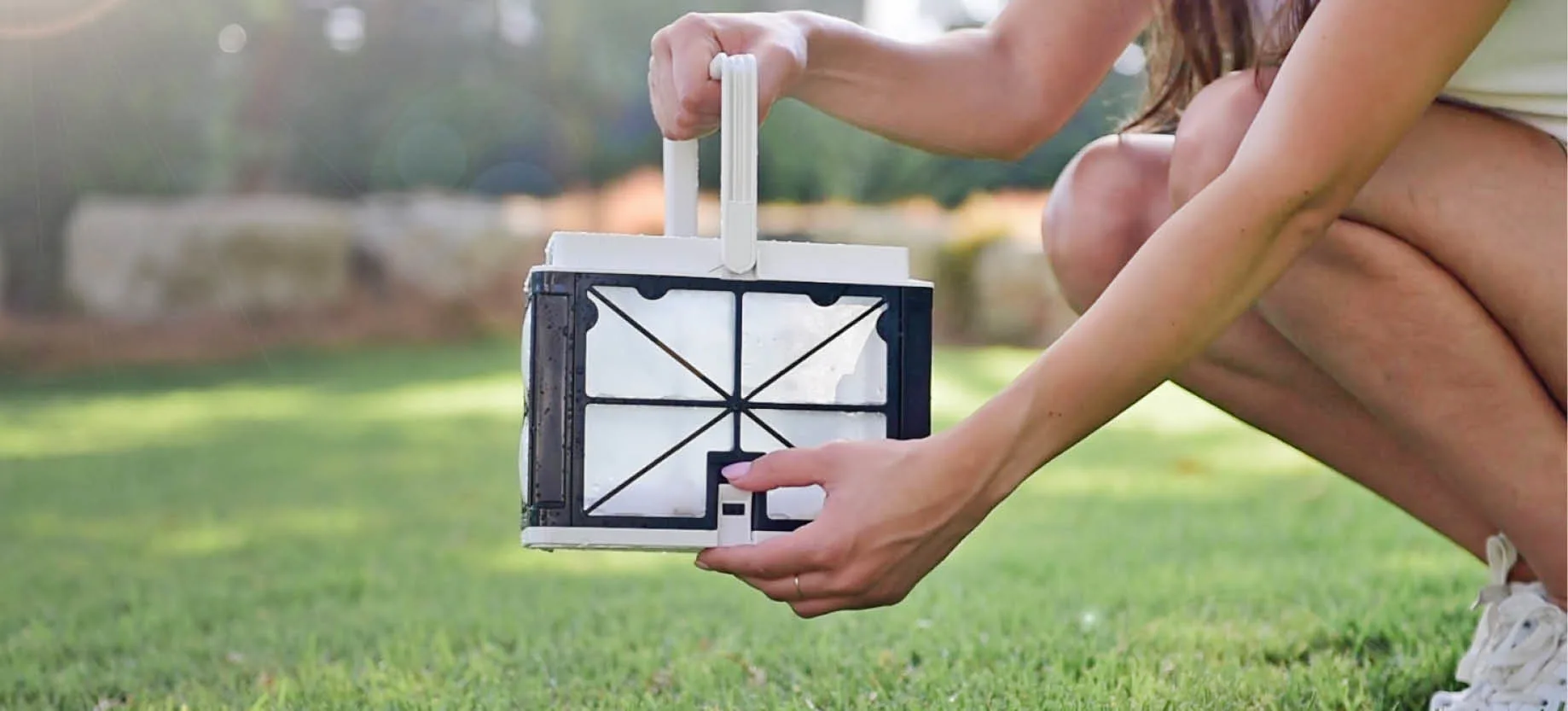 Dolphin robotic pool cleaners are low maintenance