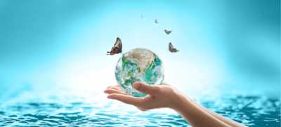 Why Eco-Conscious Homeowners Love Mineral Swim