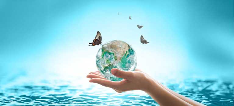 Why Eco-Conscious Homeowners Love Mineral Swim