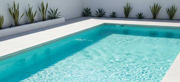 pool cleaned by a pool cleaner