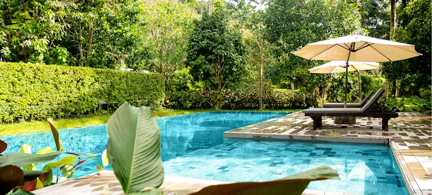 Creating the perfect poolside paradise