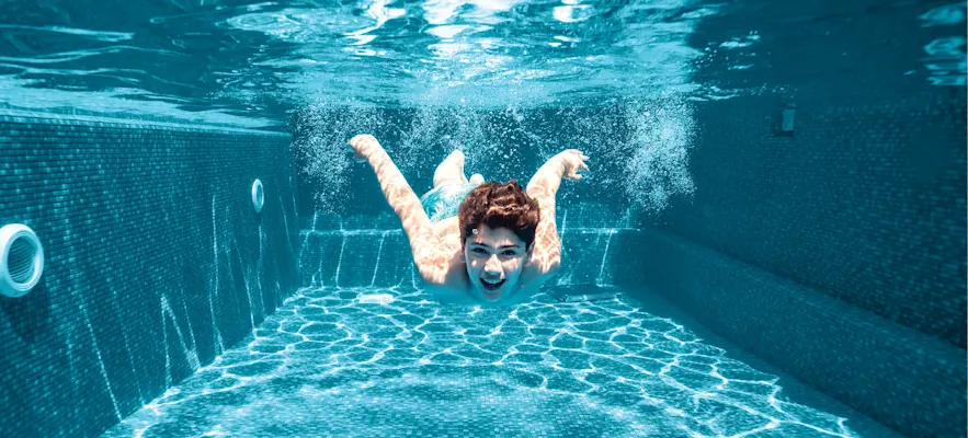 The Dolphin Difference