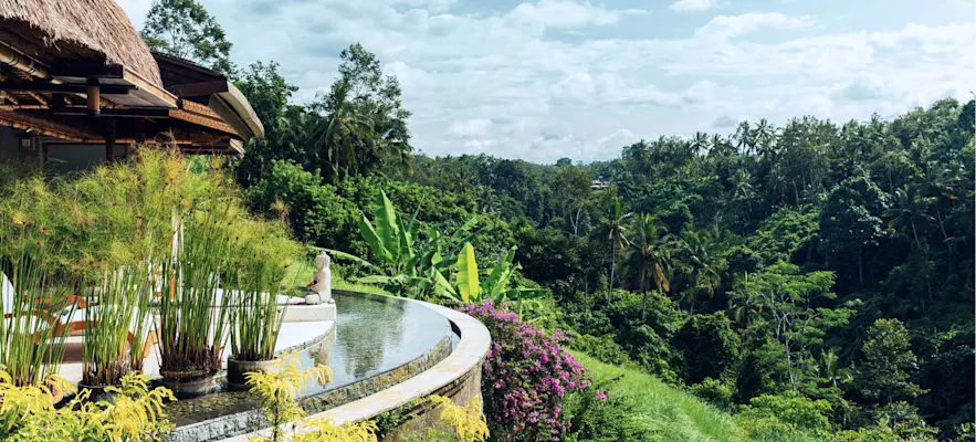 Natural Pools Embracing the Wonders of Nature