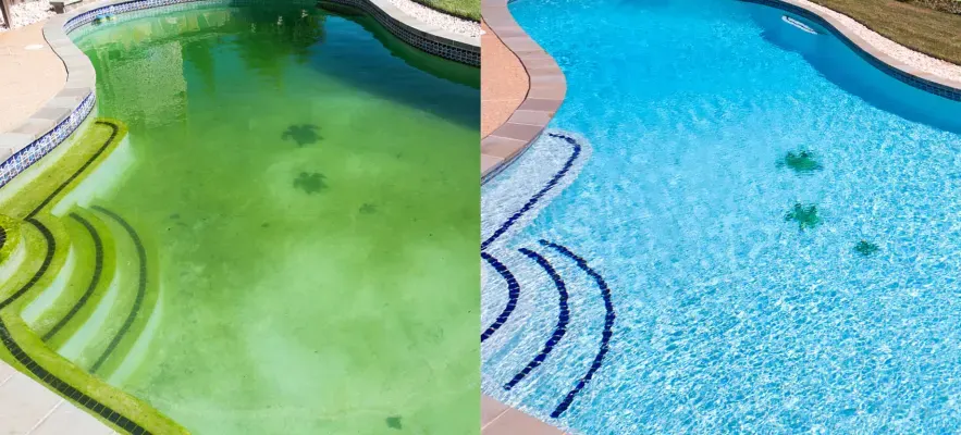 Clean your pool!