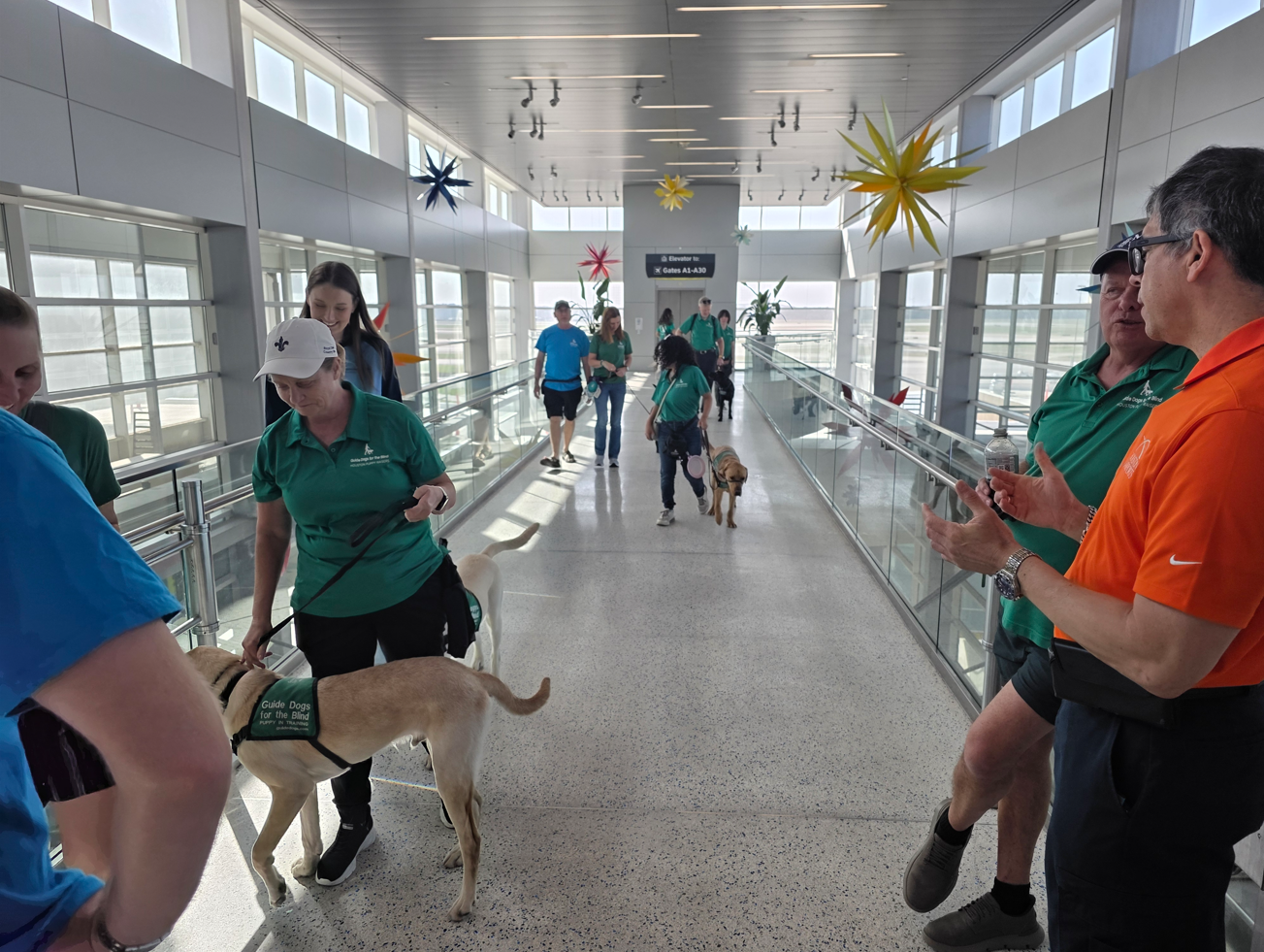 Guide Dogs for the Blind